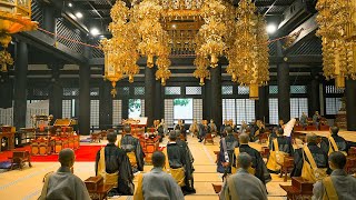 3-Day Temple Stay at a 550-Year-Old Japanese Buddhist Temple | Kakurinbo, Kuonji Temple | ASMR