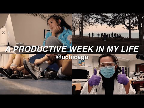 a week in my life at uchicago