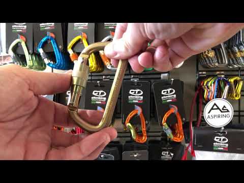 ISC D Shape Steel Screw Gate Carabiner