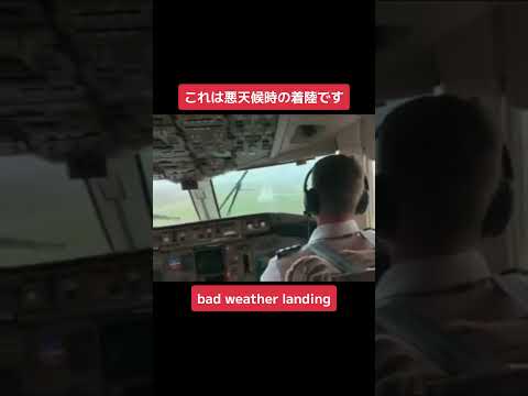 飛行機の着陸の仕方 #shorts #wisdom