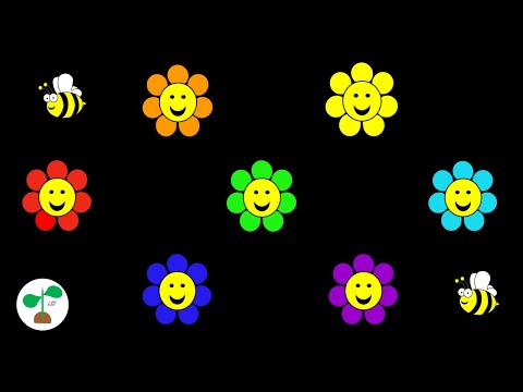 Baby Sensory Video | Flowers | High Contrast Colours, Music and Fun Animation.