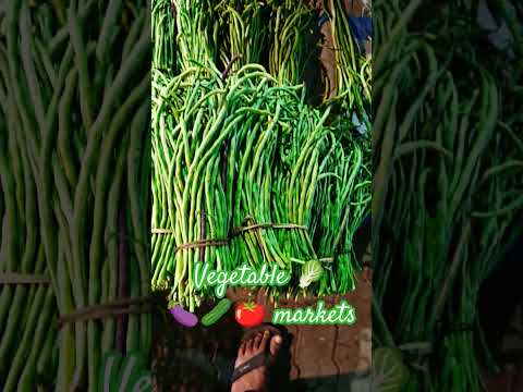 Vegetable market:  green vegetables | Street Vegetables Market  सब्जियों के भाव  #vegetables #Short