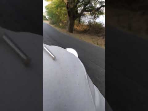 Tera yaar hu mai