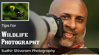 Sudhir Shivaram Photography | Sudhir Shivaram Wildlife Photography Tips | Best Camera For Wildlife