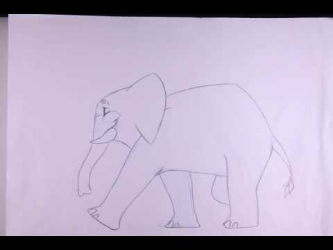 Elephant Walk
