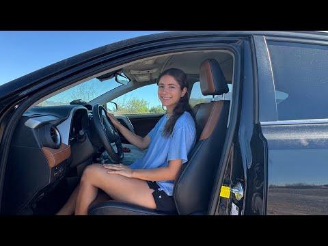 Hitting the Road to Find my Dog