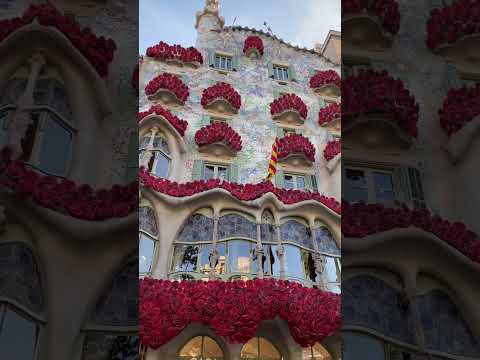 Casa Batlló|Sant Jordi #casabatllo #barcelona #visitbarcelona #catalunya #santjordi