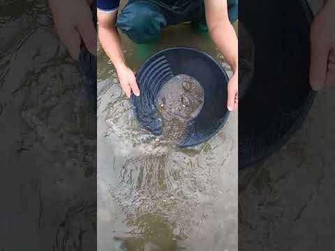 I Digged Under Sand and Gravel and Found Real Gold! #gold #camping #goldhunting