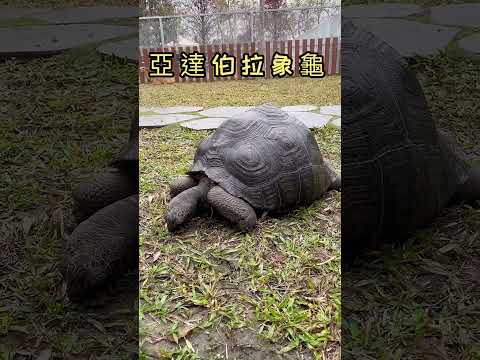 水与松萌萌園