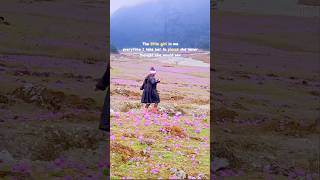 Wandering beautiful Yumthang Valley in North Sikkim | #yumthang #northsikkim #lachung #sikkim