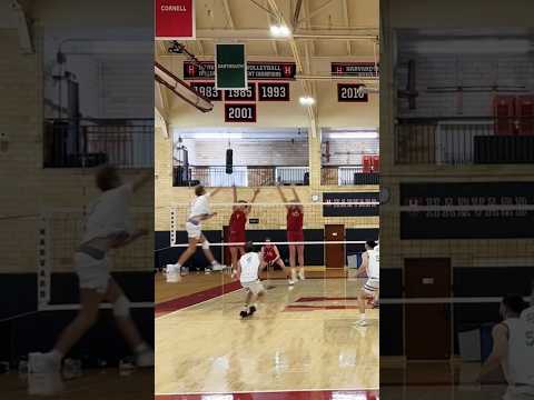 Again! #volleyball #highlights #fyp #haikyu #harvard #mensvolleyball #bounce #voleibol #d1volleyball