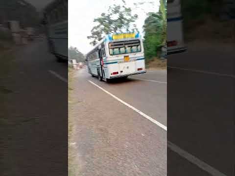 bus dj
