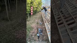 What’s This on the Roof? A Secret Trick for Old House Tile Replacement!