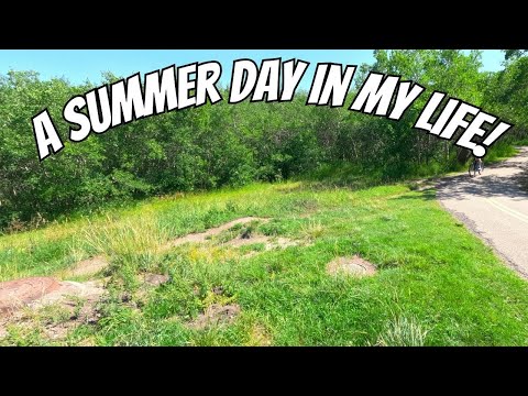 A Summer Day In My Life...