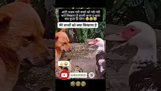 Aunty Apne bacchon Ko Lekar bhadak gai#doglover #batakpopuler #