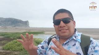 The Chilca Beach Wetland | 2023
