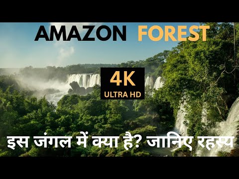 Amazon Rainforest जंगल में क्या है? जानिए रहस्य 