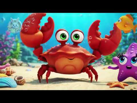 Baby Song | Nursey Rhymes & Kid Songs for Toddler @TinyToon_tt #kidrhymes #toddlersongs #kidsongs