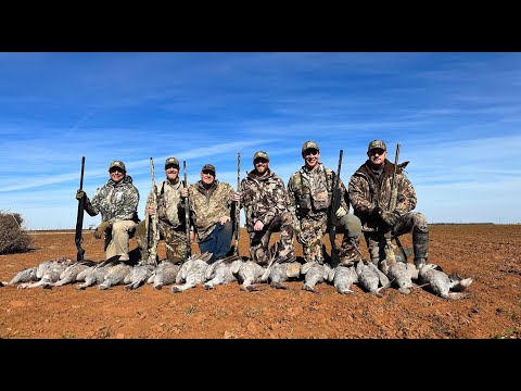 Sandhill Crane Hunting Podcast Hunt 2023