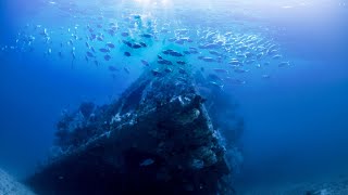 A Sunken Giant - Dehiwala Shipwreck Dive Srilanka