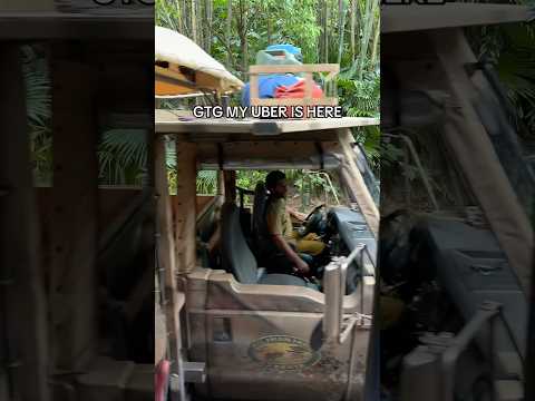 Sorryyyy gtg my Uber is here!! Kilimanjaro Safaris at Disney’s Animal Kingdom! #disney #disneyworld