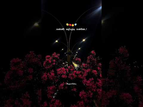 kadhal rojave 🫵🎧 SPB sir hits♥️ #movie #song #subscribe #whatsappstatus #love #music #tamilsong