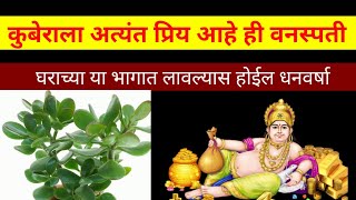 कुबेराला अत्यंत प्रिय आहे ही वनस्पती, घराच्या या दिशेला लावल्यास होईल धनवर्षा