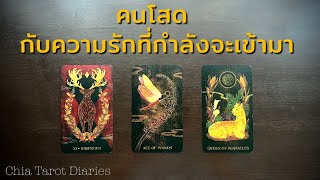 Pick​ a card คนโสด​ กับความรักที่จะเข้ามา​ เร็วๆนี้​ 🌷🕊️