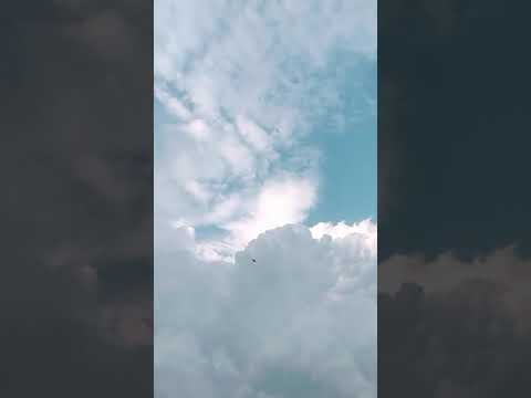 #41,#shortvideos,#neele_neele_ambar,#enjoymentwithnature,💞💞