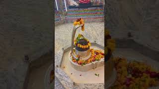 #mahashivratri #mahadevजय #2025 #ॐजय #omnahahshivay #harharmahadev 🌺🌺🙏🏻🙏🏻🙏🏻