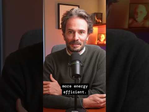 What if Efficiency is Making Things Worse, Not Better?