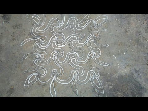 tulsi puja rangoli chauk
