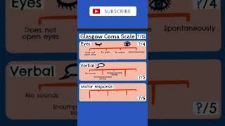 Glasgow Coma Scale  #neurology  #neuroscience #anatomyvideos