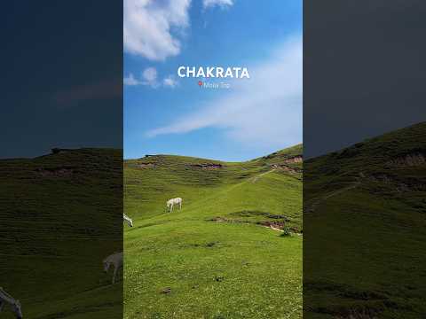 Moila Top, Must visit in Chakrata 😍 #chakrata #uttarakhand #moilatop