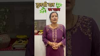 Kartik Mas-Tulsi Dal 🌿 | #shorts #ytshorts #tulsi #trending #kartikmaskikahani #Rudraksh-Vibes