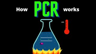 USMLE Step 1 - Lesson 25 - PCR and RTPCR