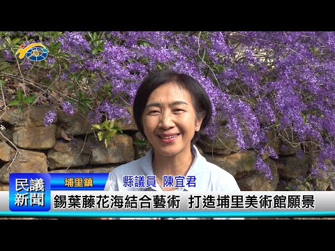 1140311 南投縣議會 民議新聞 錫葉藤花海結合藝術 打造埔里美術館願景(縣議員 陳宜君)