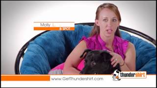 Dog 120 Commercial