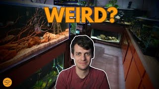 Fishkeepers are WEIRD.