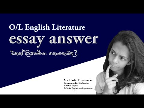 How to write an essay answer | lit feels