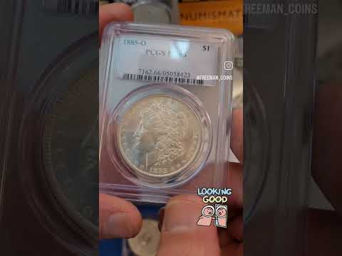 NICE MORGANS! #morgansilverdollar #coins #coincollecting #silver #silverdollar