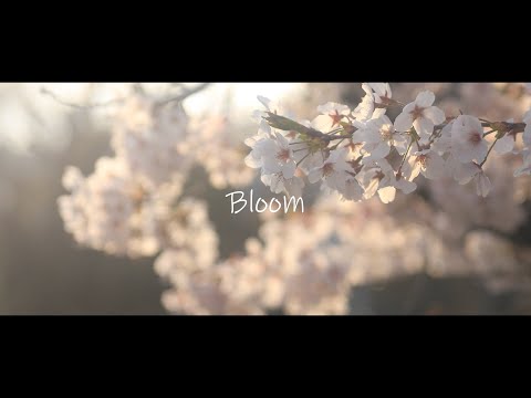 Bloom / Roca feat. 初音ミク