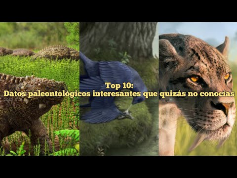 Top 10: Datos paleontológicos interesantes que quizás no conocías