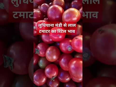 20 मार्च 2025 लुधियाना मंडी #लाल टमाटर का रिटेल भाव#viralvideo