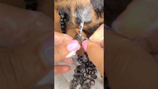 Two strand twist natural hair 4a hair styling foam twisting protective styles