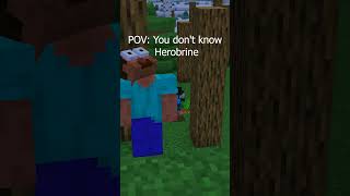 POV: You don't know Herobrine 💀🫡