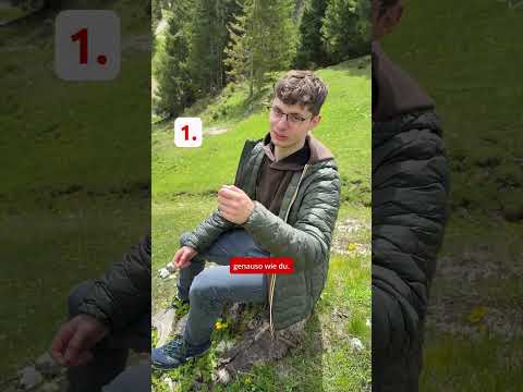 5 Fakten über Bergwiesen