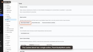 BuddyNext Tools - Counters, Caches, Export, Import, and Demo Data