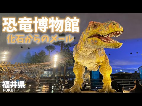 【福井県観光】恐竜博物館で数億年前の地球の環境や生き物を化石から知ることができました！[Fukui Prefecture Tourism] Fossils at the Dinosaur Museum