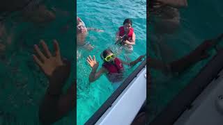 Snorkeling with Sharks in Maldives  #ytshorts #maldivesparadise #beach #exploremaldives #travel